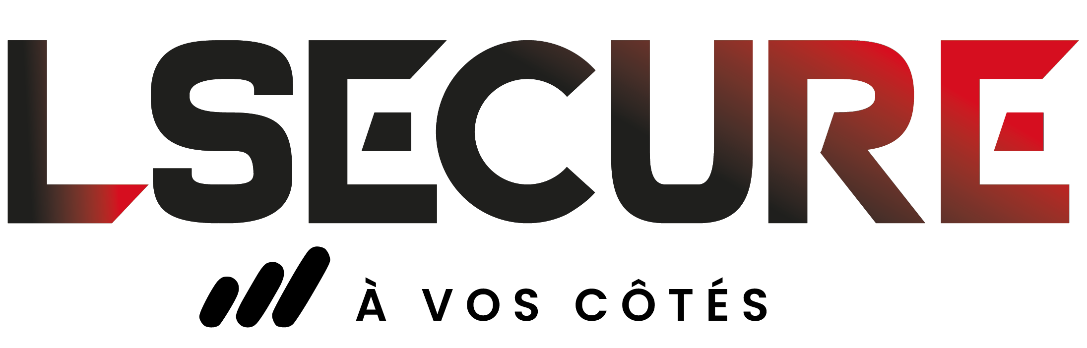 LOGO LSECURE